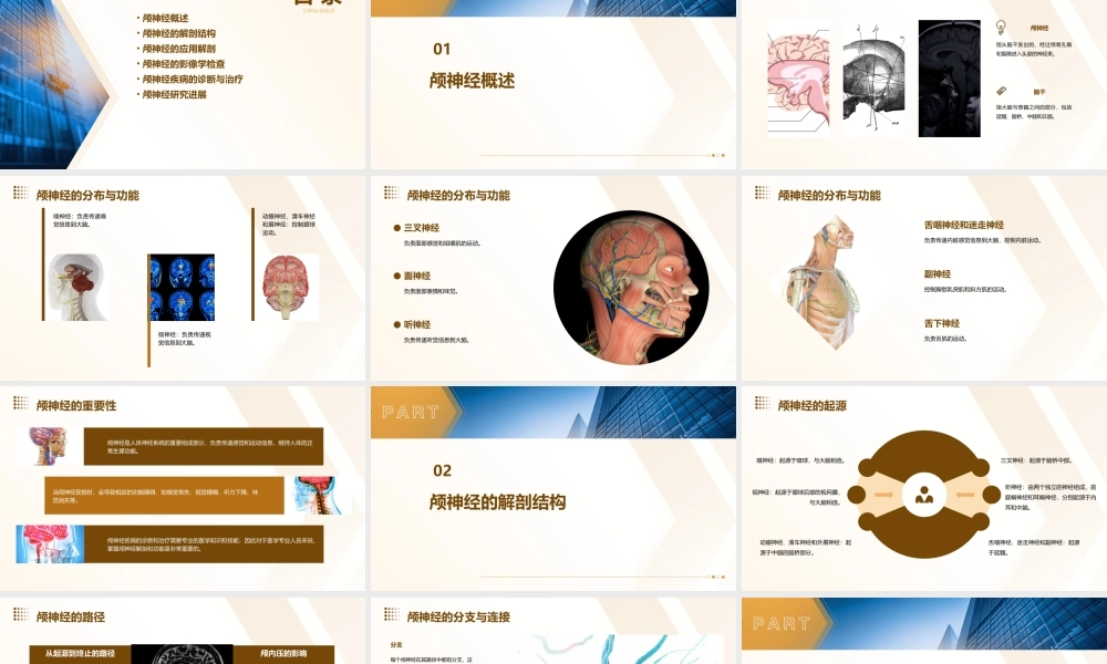 颅神经解剖北京世纪坛医院课件