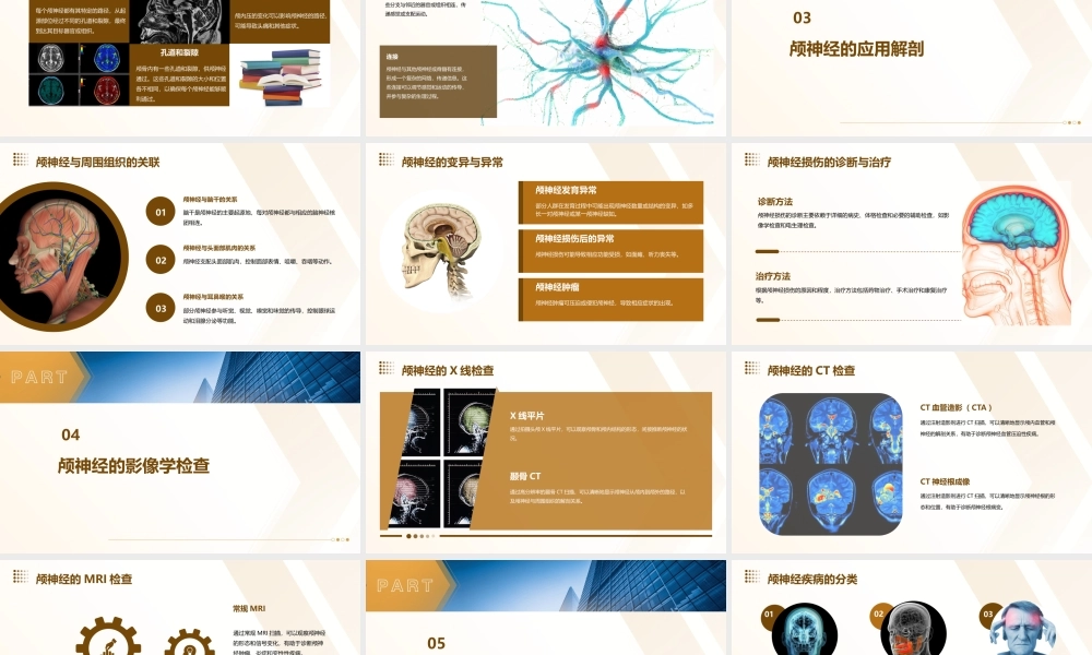 颅神经解剖北京世纪坛医院课件