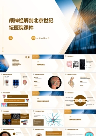 颅神经解剖北京世纪坛医院课件