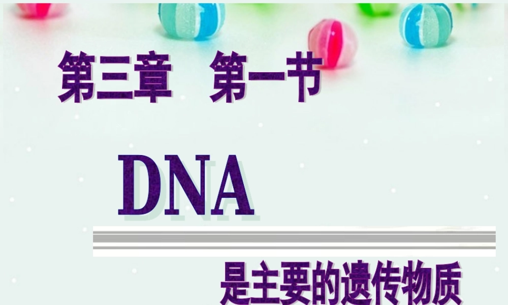是主要的遗传物质课件人教版必修