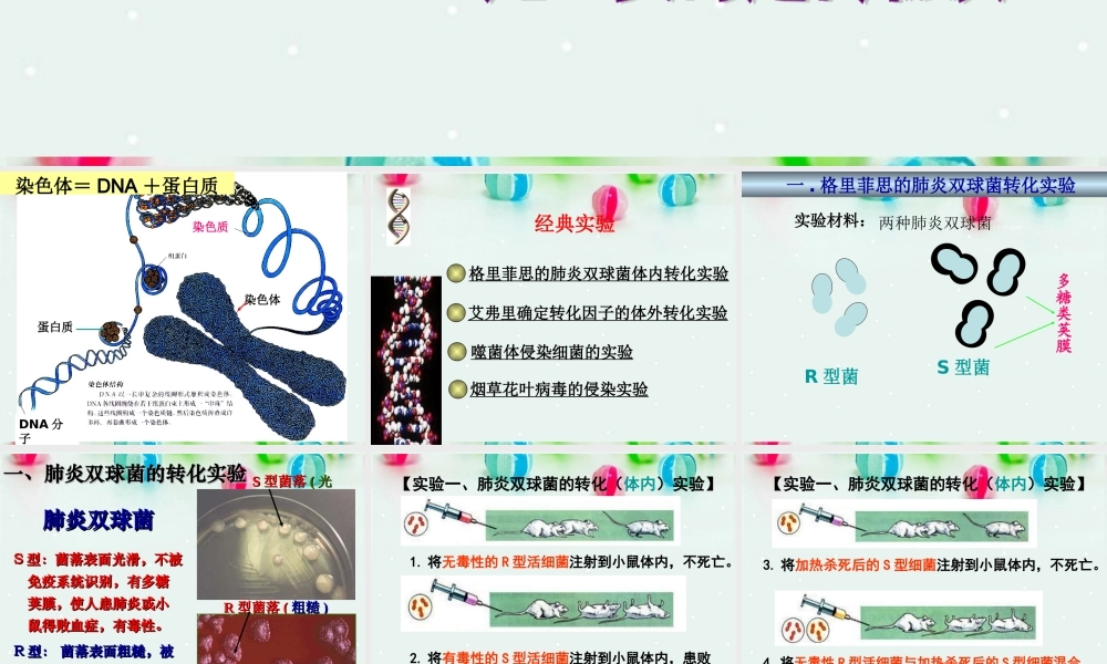 是主要的遗传物质课件人教版必修