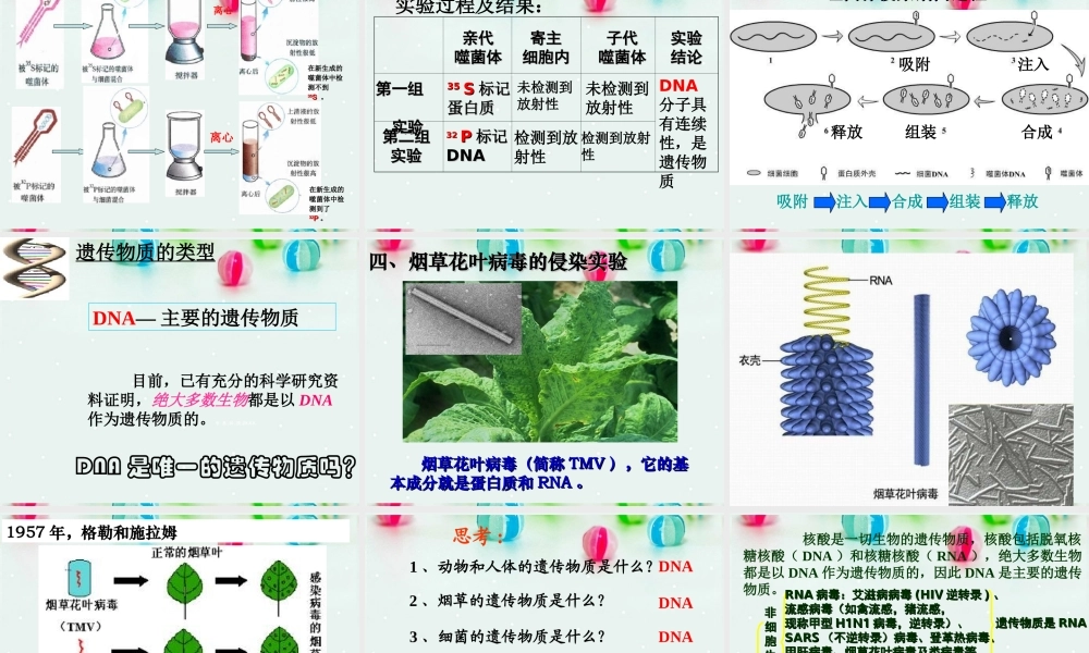 是主要的遗传物质课件人教版必修