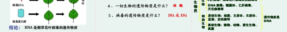 是主要的遗传物质课件人教版必修