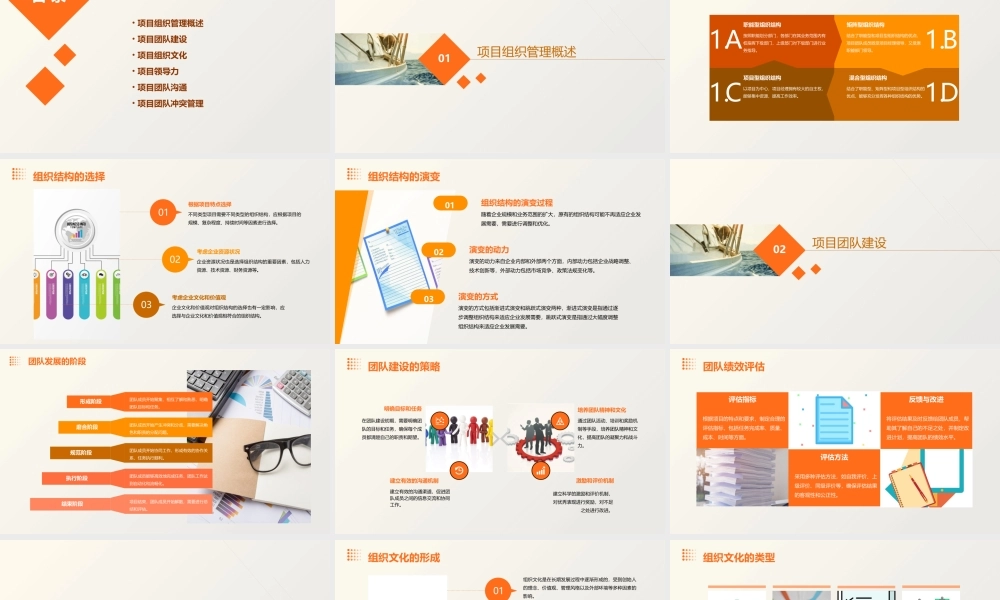 项目组织管理与项目团队课件