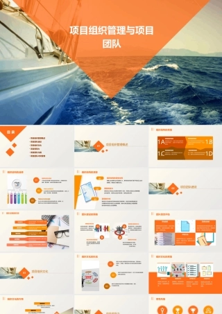 项目组织管理与项目团队课件