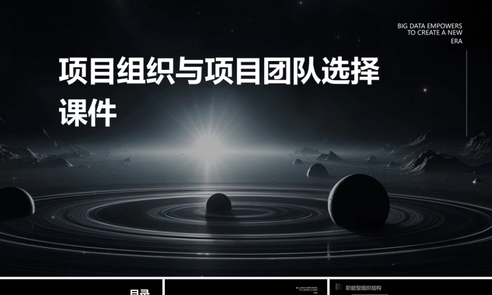 项目组织与项目团队选择课件