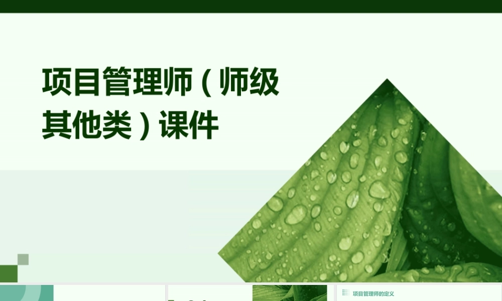 项目管理师(师级其他类)课件