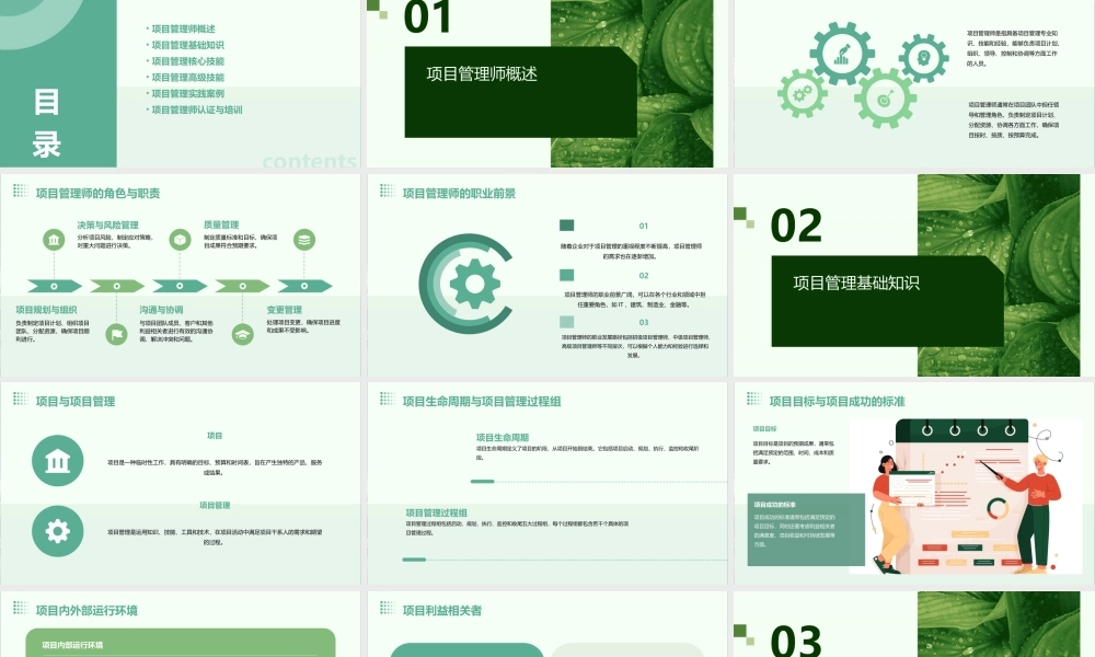 项目管理师(师级其他类)课件