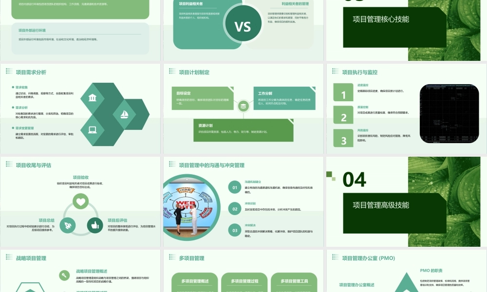 项目管理师(师级其他类)课件