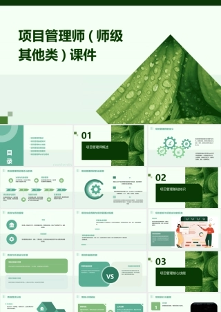 项目管理师(师级其他类)课件