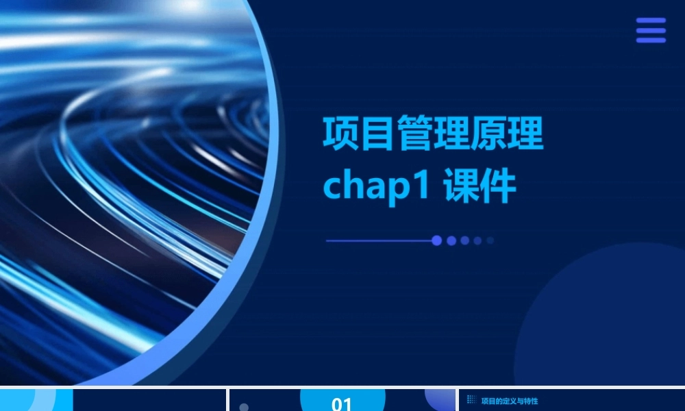 项目管理原理chap1课件
