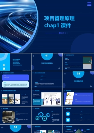 项目管理原理chap1课件