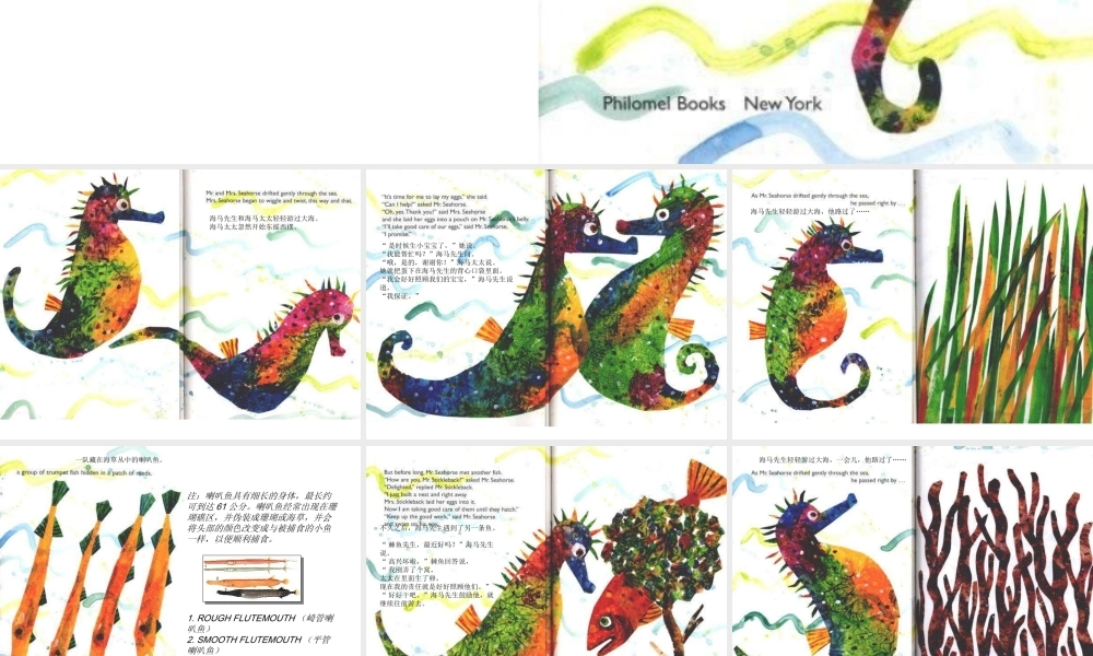 绘本《海马先生》