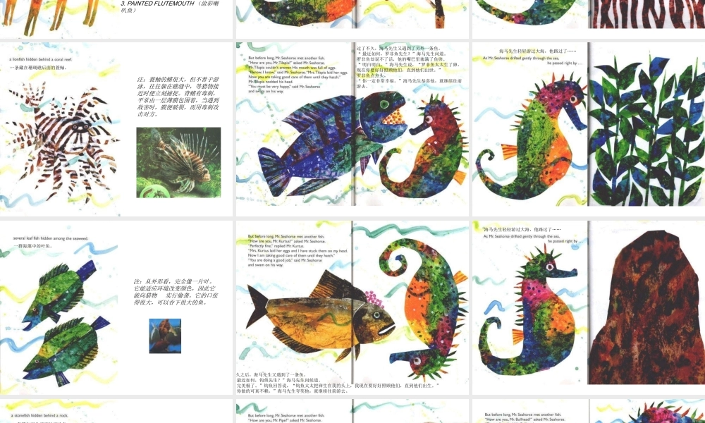 绘本《海马先生》