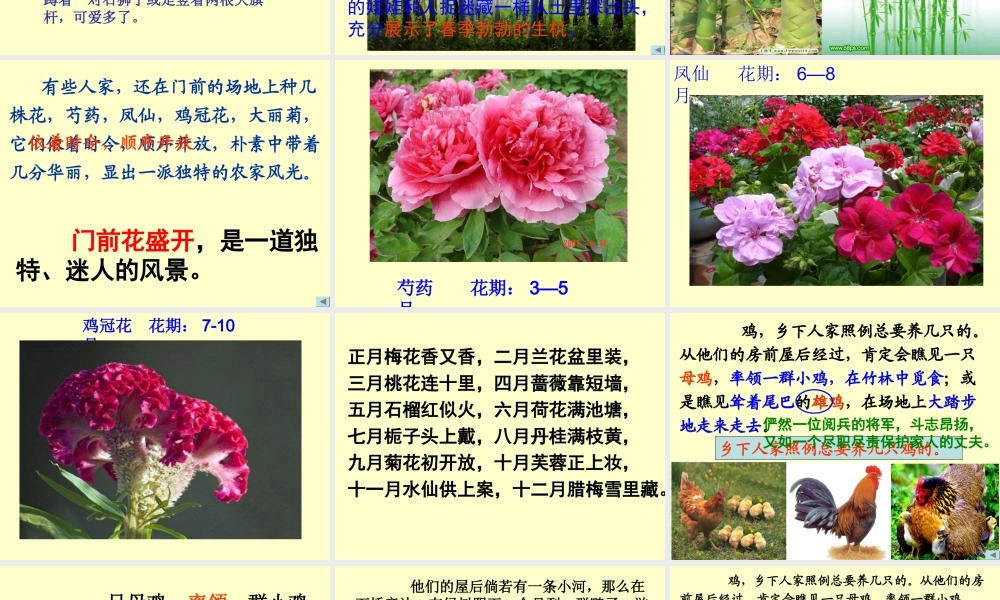 人教版四年级语文下册《乡下人家》演示文稿