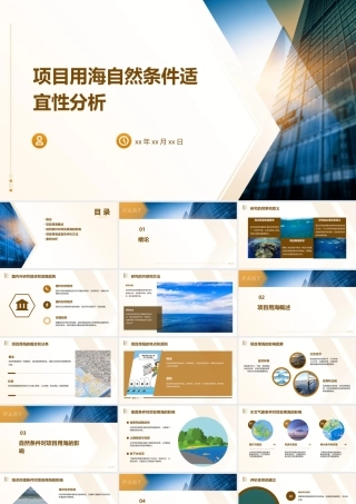 项目用海自然条件适宜性分析(五章)课件