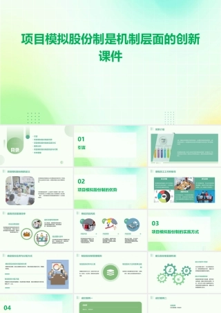 项目模拟股份制是机制层面的创新课件