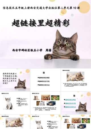 信息五年级上西交大210超链接里超精彩课件