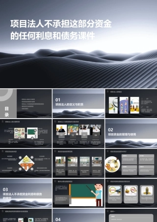 项目法人不承担这部分资金的任何利息和债务课件