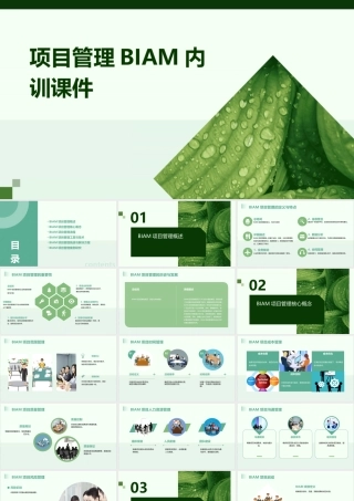 项目管理biam内训课件