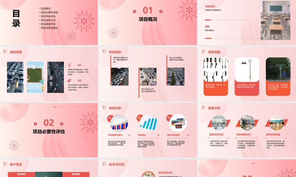 项目概况及必要性评估课件