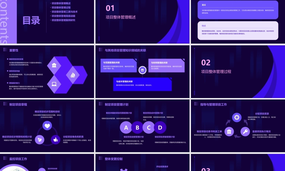 项目整体管理(高级)课件