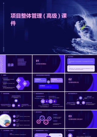 项目整体管理(高级)课件