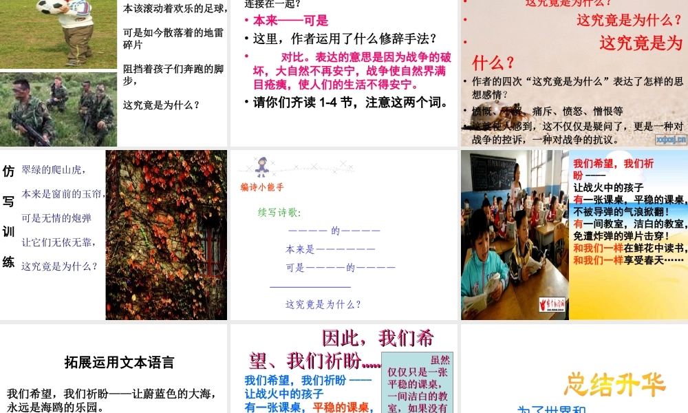 陈梅讲课用课件