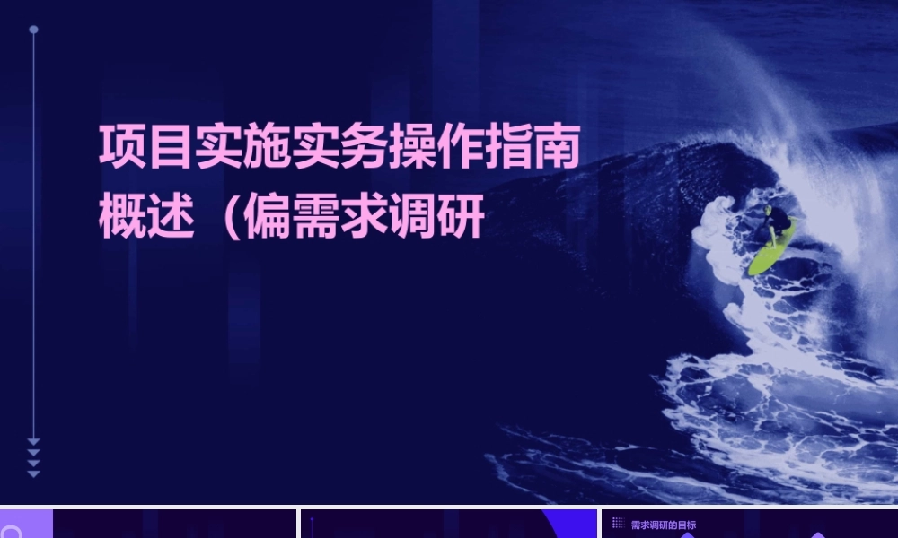 项目实施实务操作指南概述(偏需求调研)课件