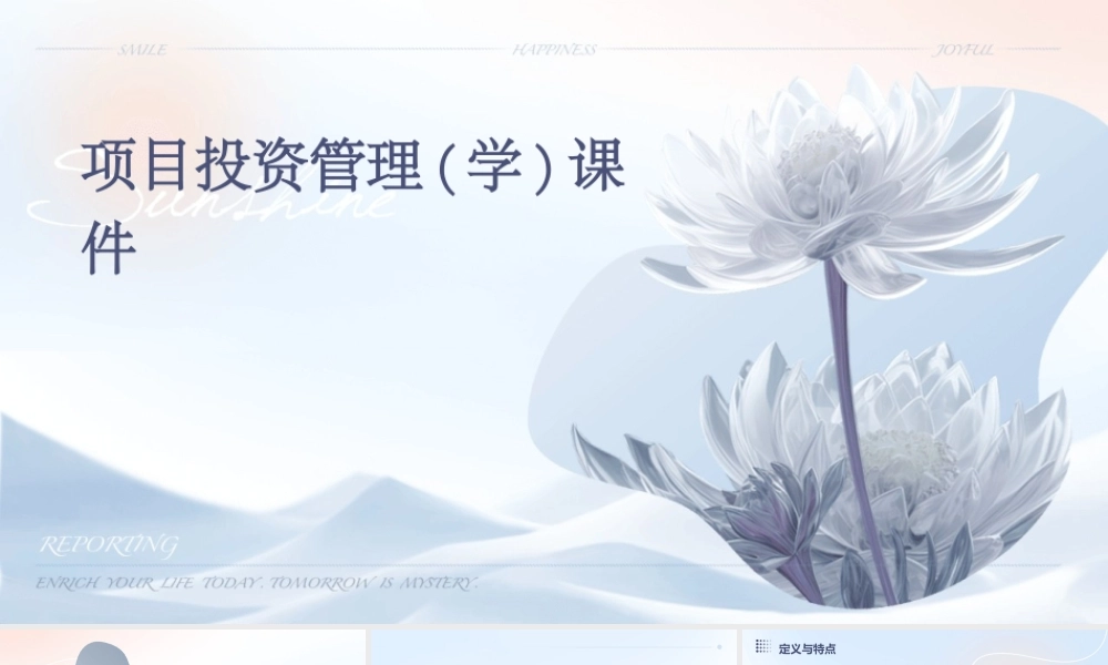 项目投资管理(学)课件