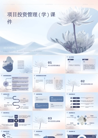 项目投资管理(学)课件