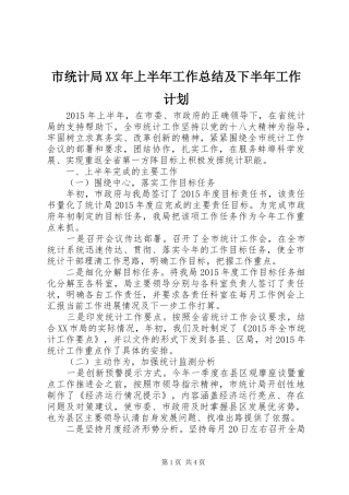市统计局XX年上半年工作总结及下半年工作计划