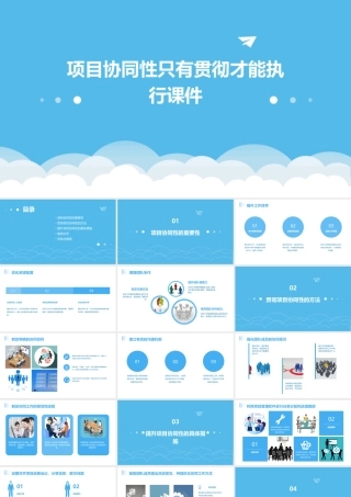项目协同性只有贯彻才能执行课件