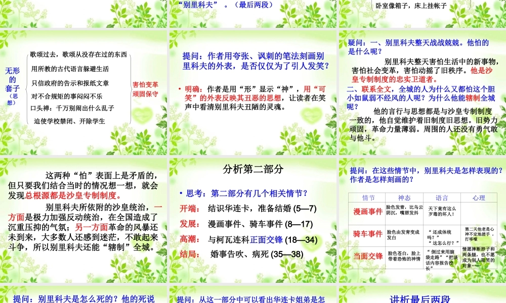 《装在套子里的人》课件1