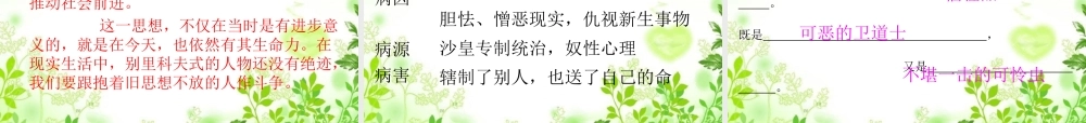《装在套子里的人》课件1