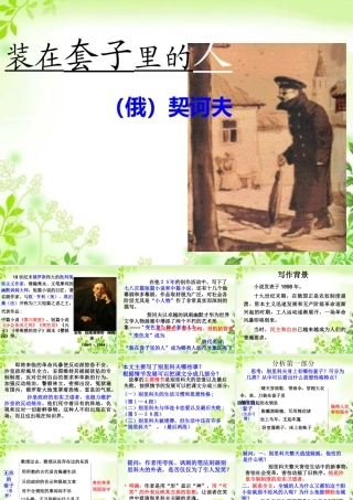 《装在套子里的人》课件1