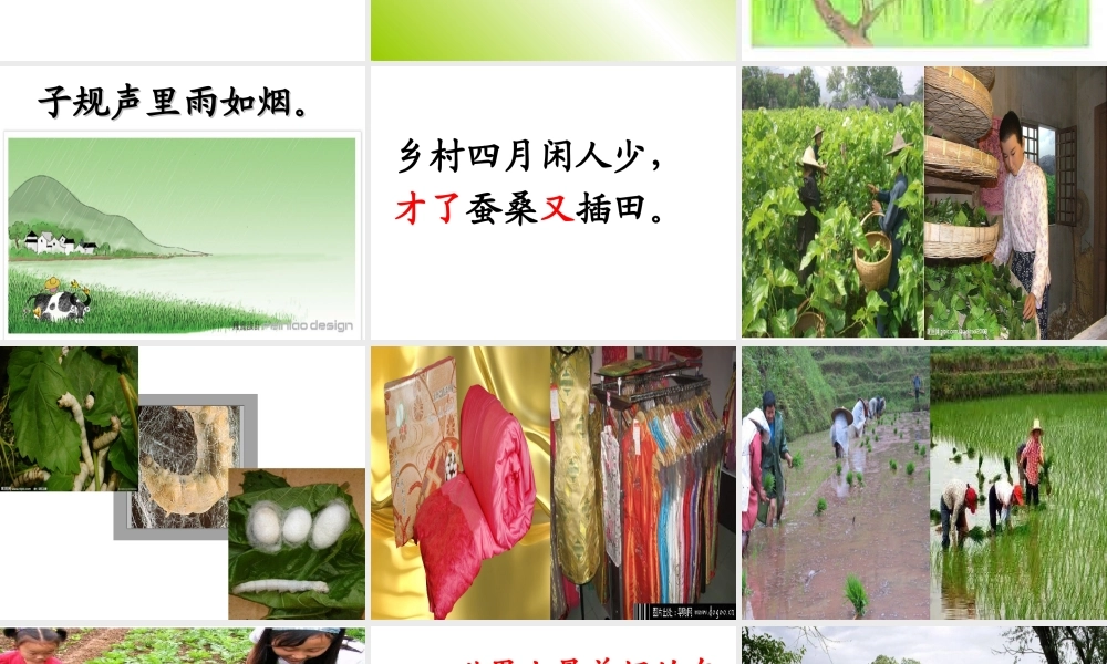 三单元乡村四月