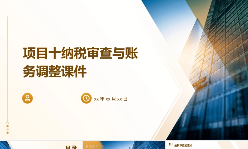 项目十纳税审查与账务调整课件