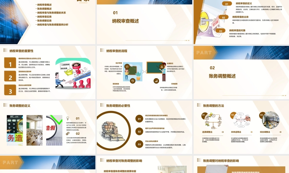 项目十纳税审查与账务调整课件