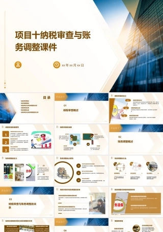 项目十纳税审查与账务调整课件