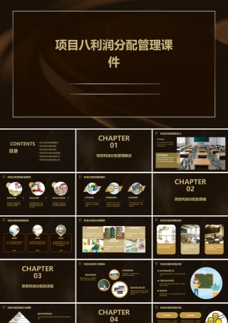 项目八利润分配管理课件