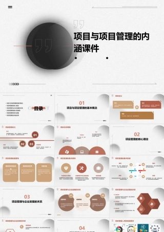 项目与项目管理的内涵课件