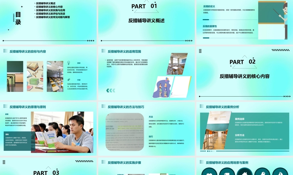 项反措辅导讲义(下)课件