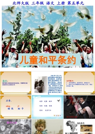 儿童和平条约 (2)