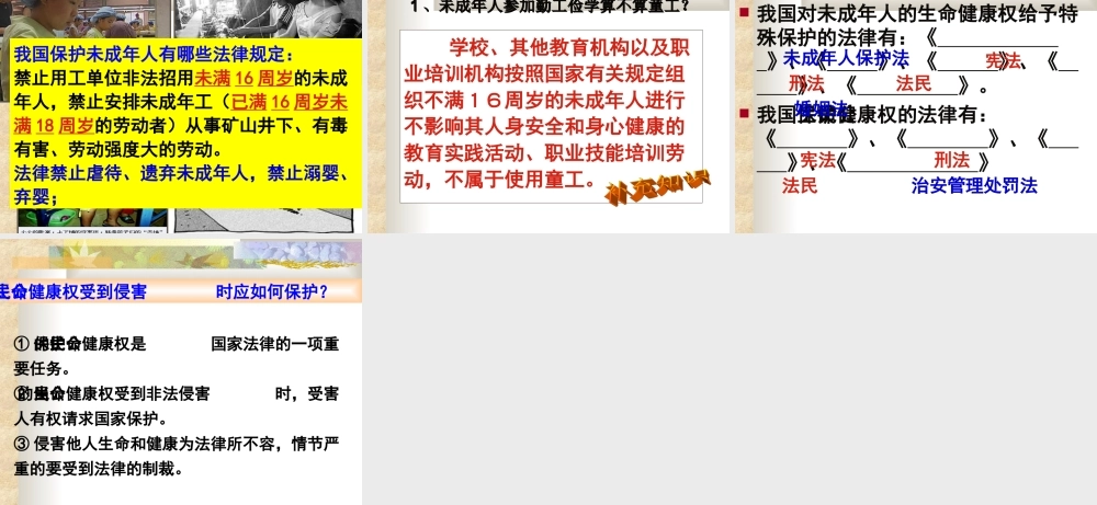 生命与健康权利