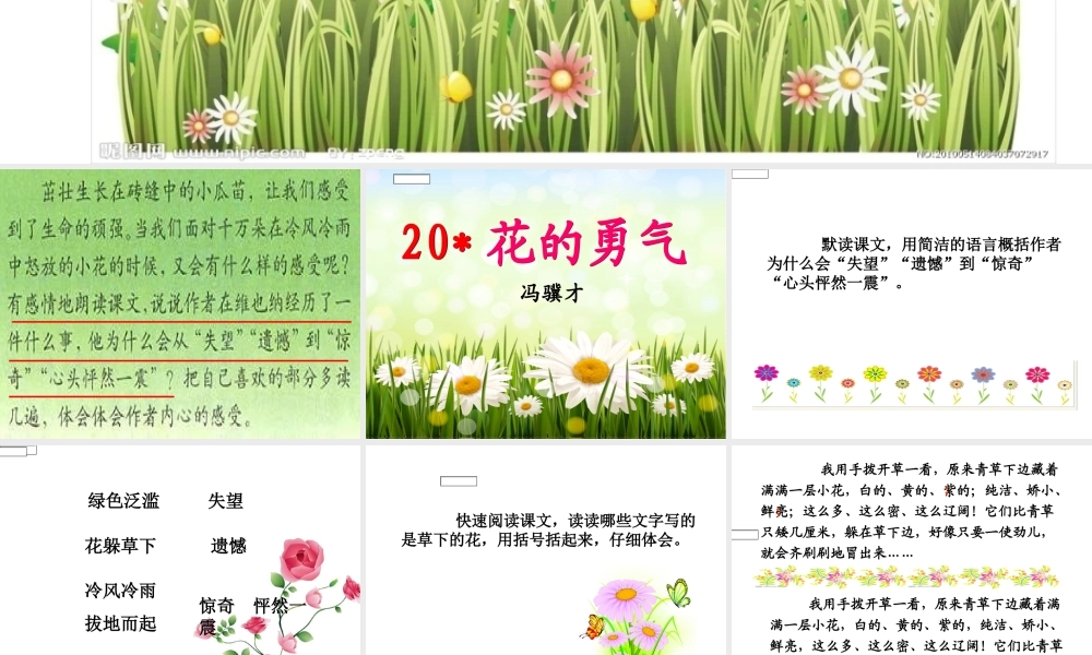 花的勇气 (3)