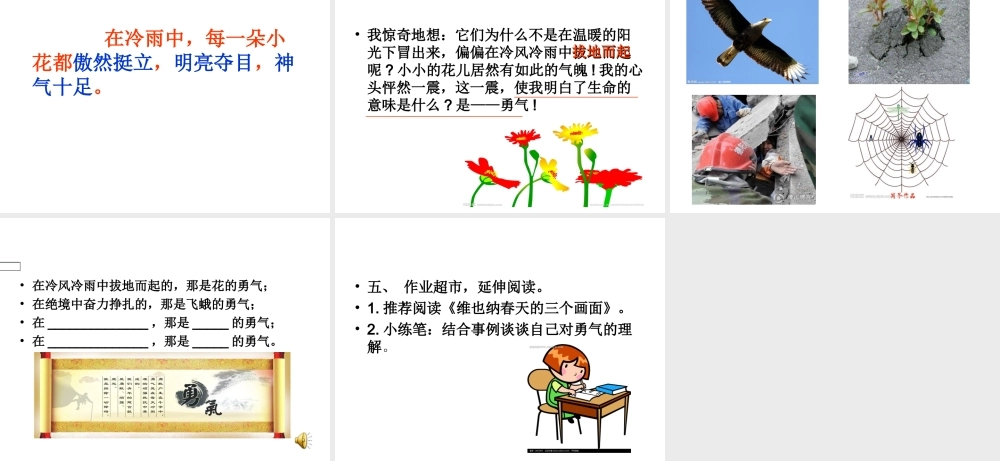 花的勇气 (3)