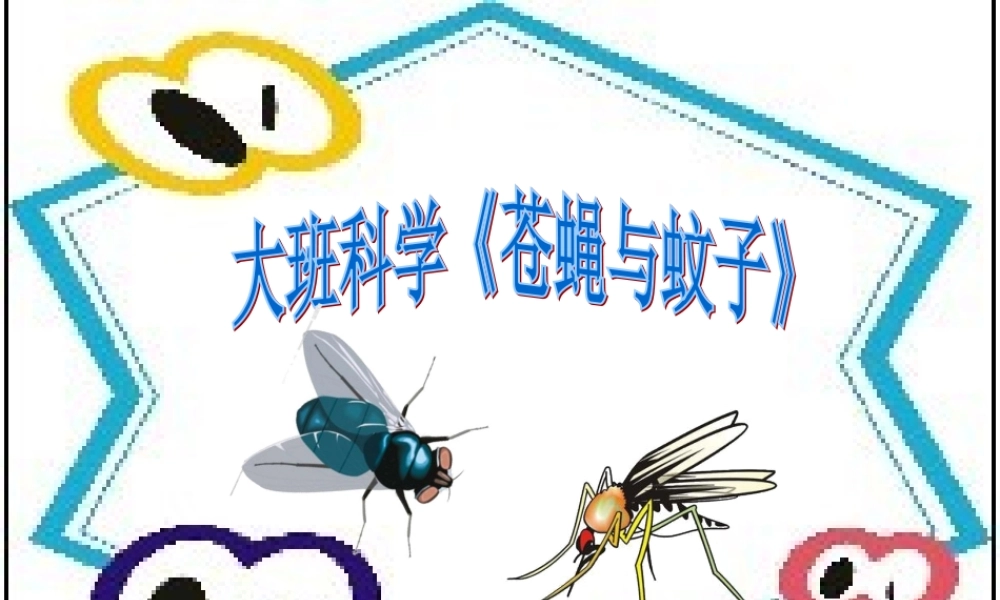 大班科学《苍蝇与蚊子》