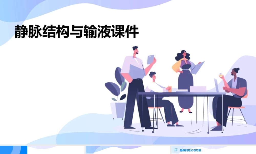 静脉结构与输液课件