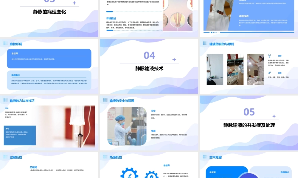 静脉结构与输液课件